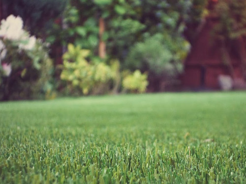An artificial grass lawn in a garden