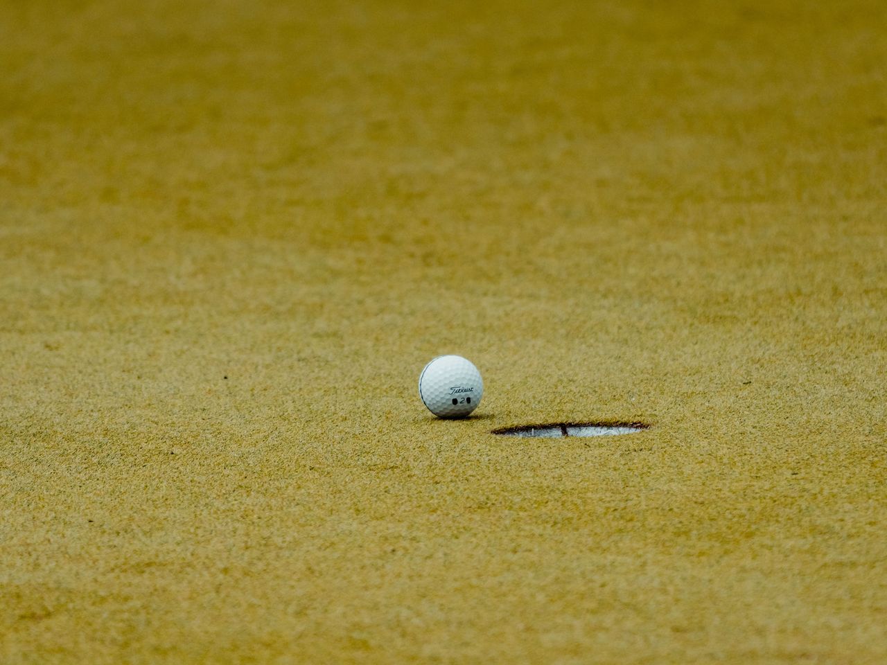 A golf ball on a green beside a bunker